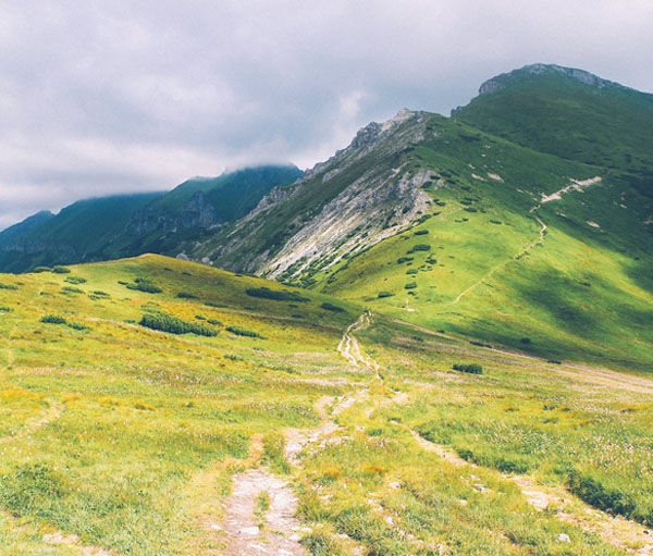 智能算法引擎的呼死你免费试用在线