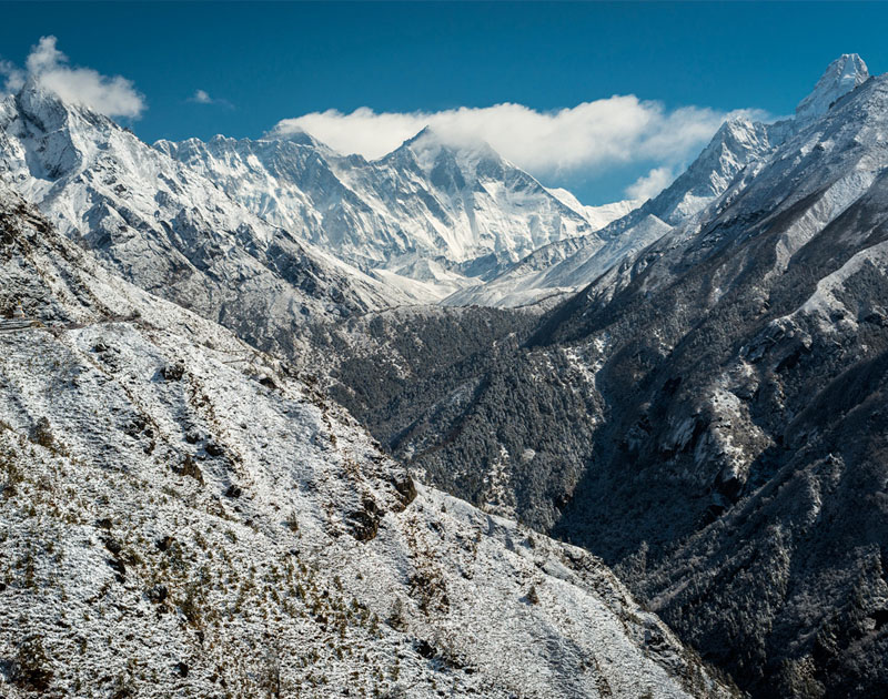 手机号自动轰炸