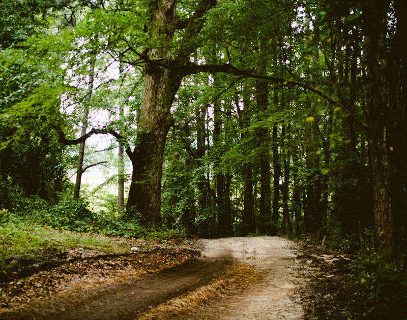 接码短信社区平台
